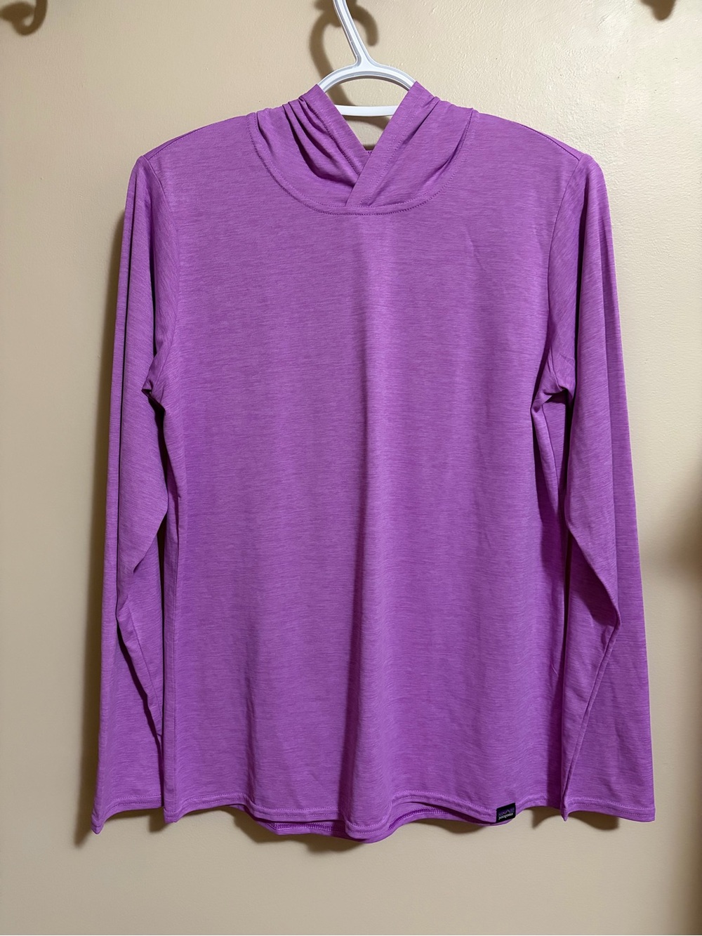 Patagonia Capilene Cool Daily Hoody